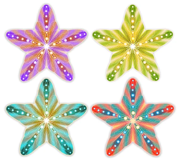 Színes Starfish beállítása elszigetelt. Vektoros illusztráció, Eps10. — Stock Vector