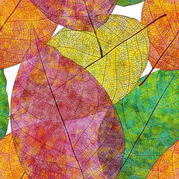 Modèle sans couture avec des feuilles d'automne colorées. Vecteur, EPS10 . — Image vectorielle