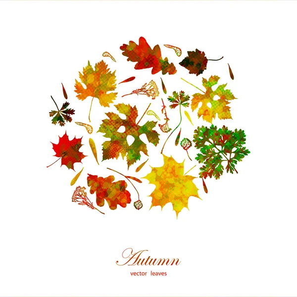 Blatt bunten Herbst Hintergrund. Vektor, Eps10. — Stockvektor