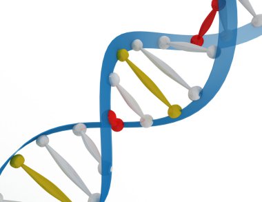 DNA kavramı