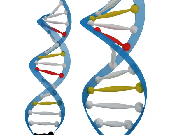 Concepto ADN Fotos de stock libres de derechos