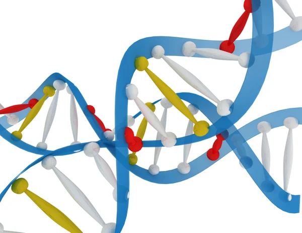 DNA koncept Stock Obrázky