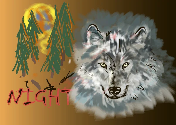 Λύκος Μέσα Στη Νύχτα — Φωτογραφία Αρχείου