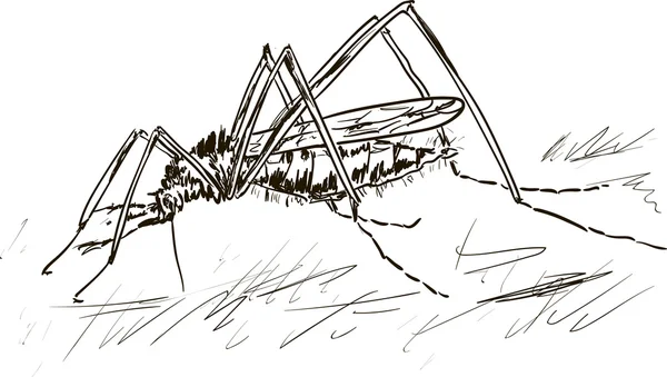 Un komar sur la main — Image vectorielle