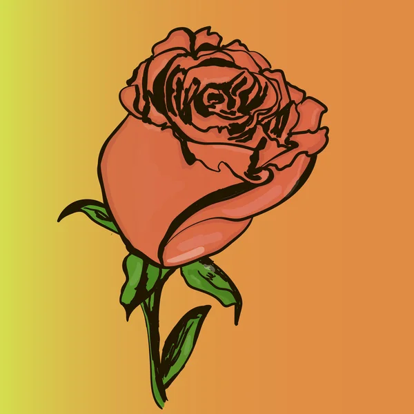 Une rose beauté sur blanc — Image vectorielle