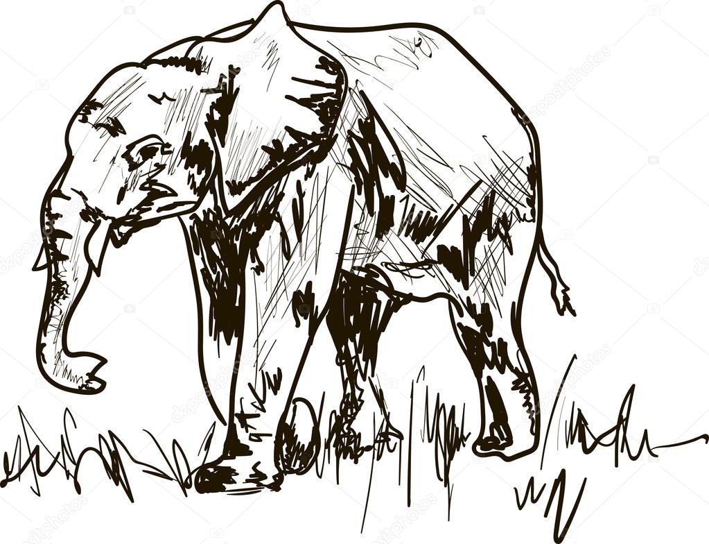a big elephant in africa