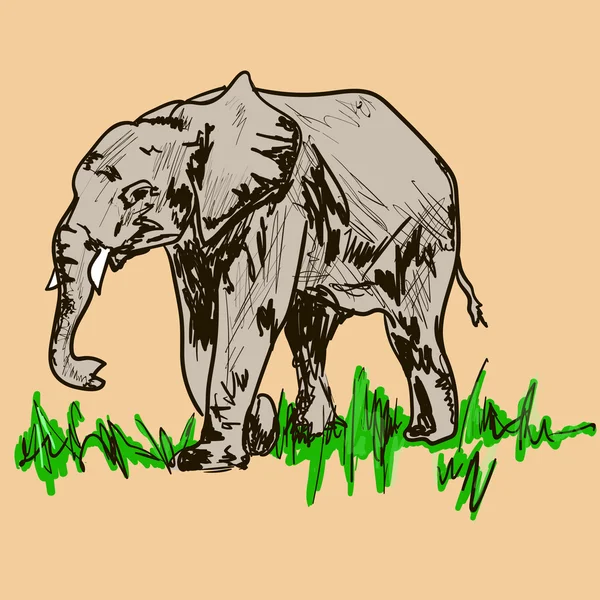 Un gran elefante en África — Vector de stock