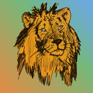 bir aslan için seyir