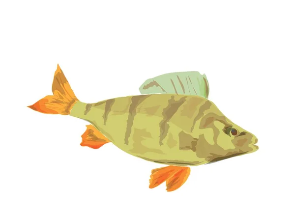 Illustration Eines Fisches — Stockvektor