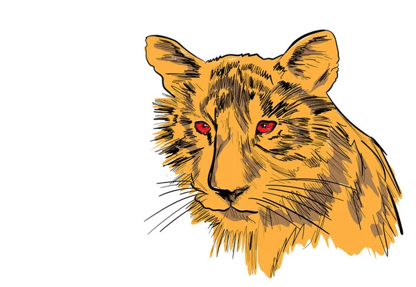 Una Cabeza Tigre Blanco — Vector de stock