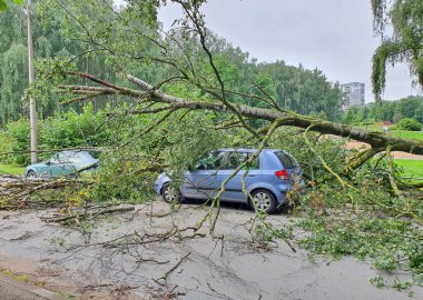  Yolda bir araba var.