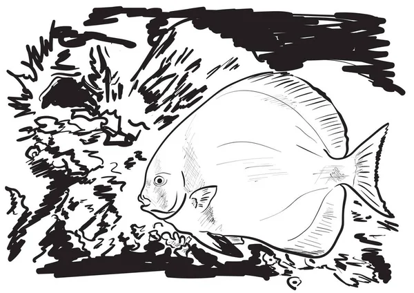 Illustration Fish Water — Stock Vector
