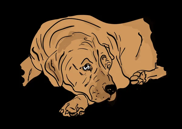 Perro grande — Vector de stock