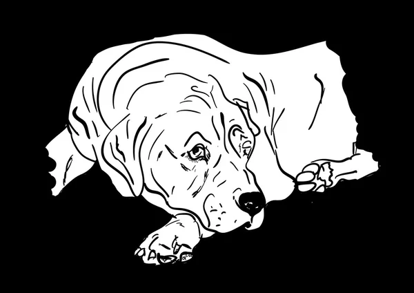 Velký pes — Stockový vektor