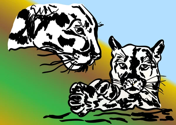 Grand chat puma — Image vectorielle