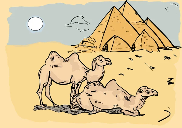 Egipto y los camellos — Vector de stock