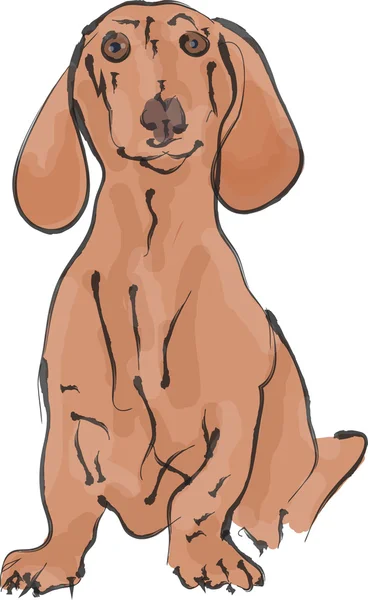 Dachshund. — Archivo Imágenes Vectoriales