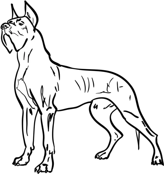 Grote hond — Stockvector