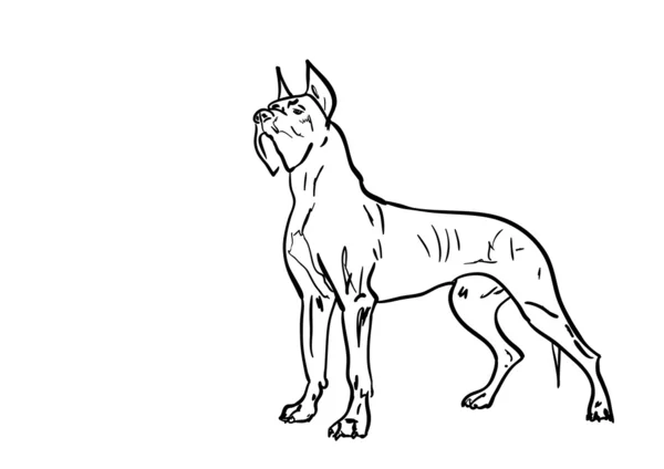 大きな犬 — ストックベクタ