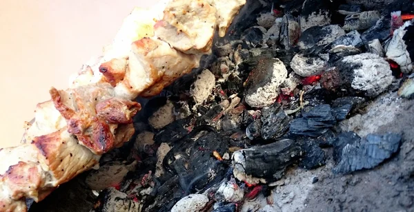 Cooking on a barbecue grill — Stock Photo, Image