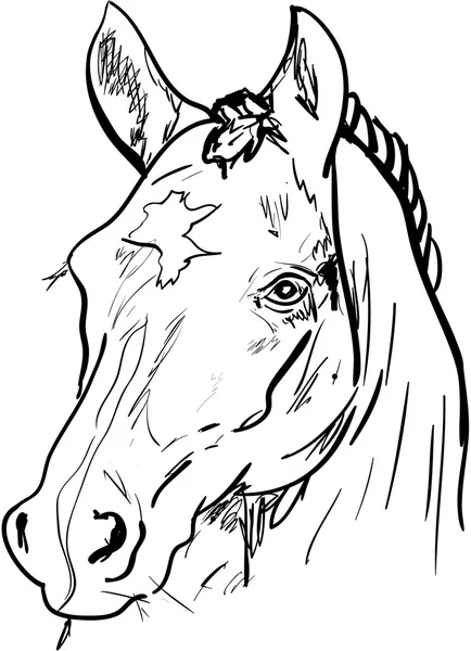 Спортивный конь — стоковый вектор