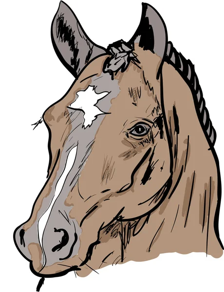 Sport paard — Stockvector