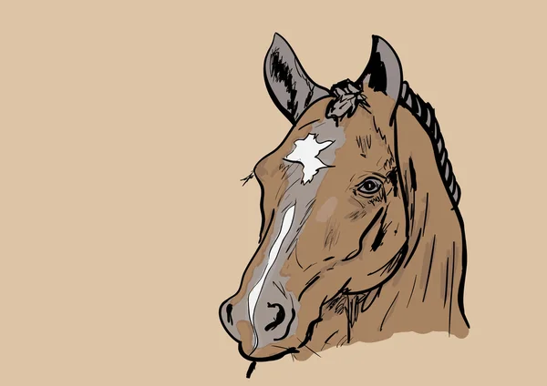 Caballo deportivo — Vector de stock