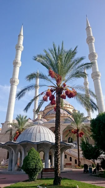 Uma Antiga Grande Mesquita Manavgat — Fotografia de Stock