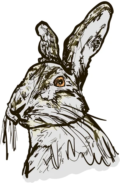 Un bon lapin animal de compagnie — Image vectorielle