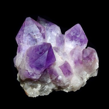 Siyah arka plan üzerine Ametist druse