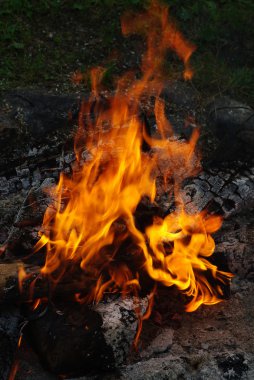 Kamp ateşinin alevleri 