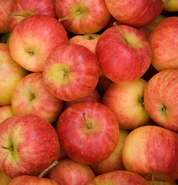 Bir sürü lezzetli kırmızı elma.