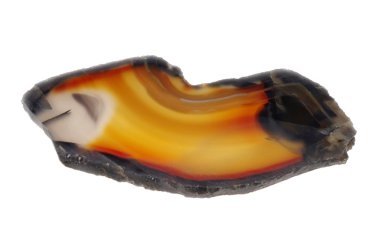 beyaz arkaplandaki agate dilimi 