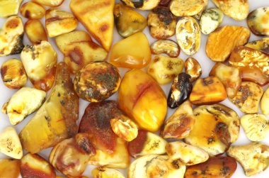 Birçok güzel cilalanmış sarısı rengi Baltık kehribar taşlarının arka planı