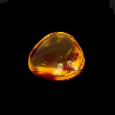 Siyah arkaplanda baltık kehribar yakın plan 