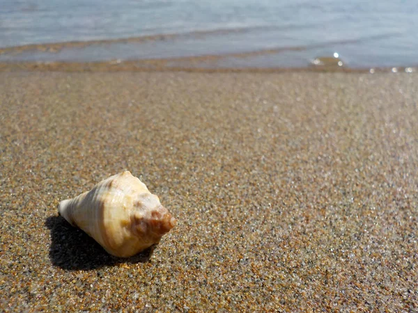 Θαλασσοταραχή Στην Αμμώδη Παραλία — Φωτογραφία Αρχείου