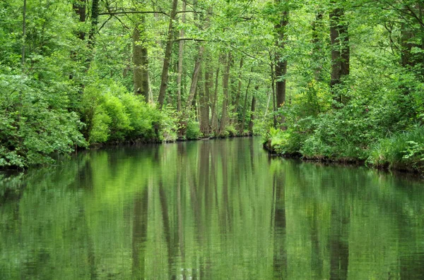 Kanaal Het Spreewald Biosfeerreservaat Duitsland Europa — Stockfoto