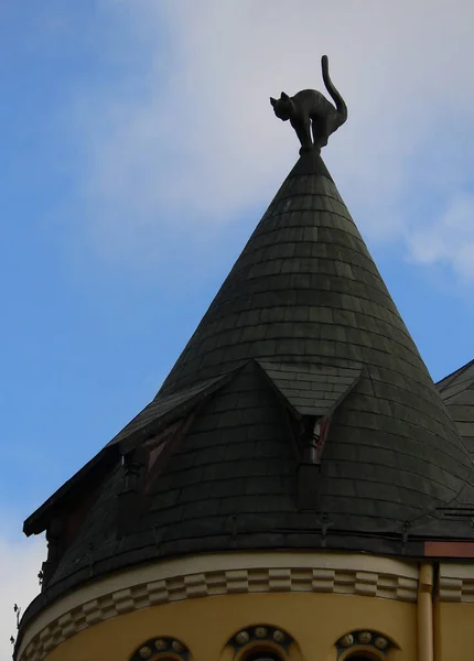 Dach Figurą Kota Starym Mieście Rydze Łotwa — Zdjęcie stockowe