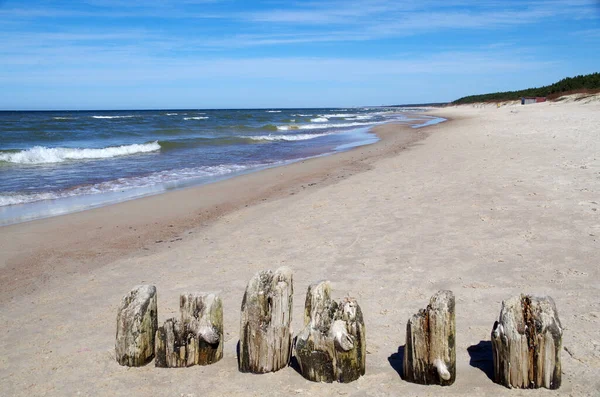 Піщаний Берег Балтійського Моря Залишками Старих Дерев Яних Паль — стокове фото