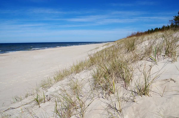 Dune Erbose Del Mar Baltico — Foto Stock