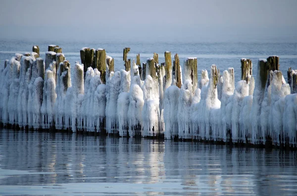 Деревянные Груды Старого Пирса Покрыты Льдом Морозную Зимнюю Погоду — стоковое фото