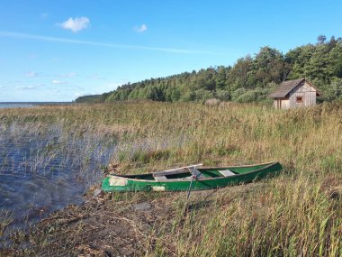Yeşil tekne ve sazlıklarla kaplı bir gölde küçük ahşap bir ev.