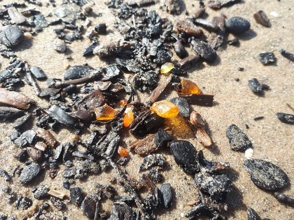 Pequeños Trozos Ámbar Natural Arena Entre Los Escombros Sacados Del — Foto de Stock