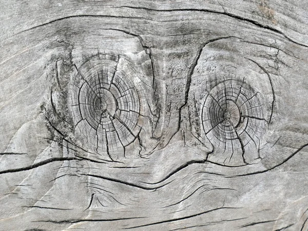 まるで面白い顔をしているかのように ツヤ感のある古い松の板の自然な質感 — ストック写真
