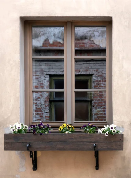 Window Old House Multi Colored Violets Box Window Reflection Brick — Stock Photo, Image