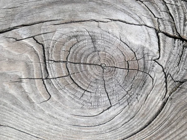 Texture Naturelle Vieux Panneau Pin Gris Avec Grand Noeud Fissures — Photo