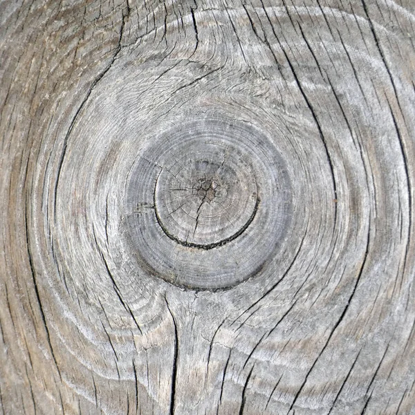 Natürliche Textur Der Grauen Alten Kiefernholzplatte Mit Großen Knoten Und — Stockfoto