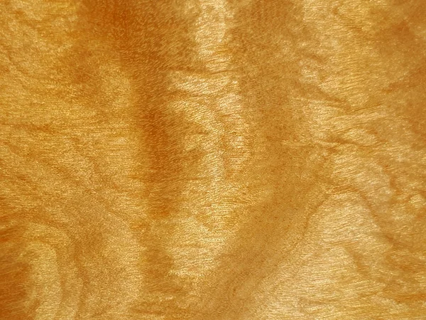 Ungewöhnliche Und Sehr Schöne Birkenholz Textur Mit Irisierendem Effekt — Stockfoto