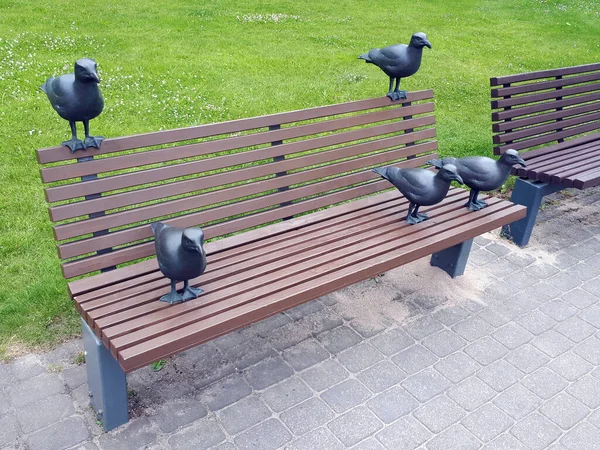 Bank Park Meer Mit Darauf Sitzenden Bronzemöwen — Stockfoto