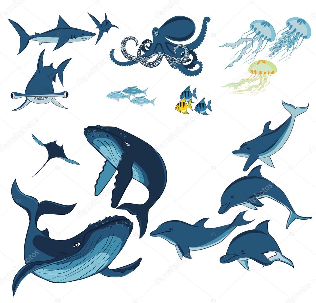 海洋動物や魚 ストックベクター C Minyanna
